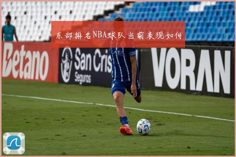 东部排名NBA球队当前表现如何